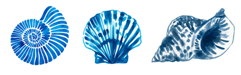 Blue Seashell in Watercolor Style – Spiral, Fan-Shaped and Conical Shells for Ocean-Themed 