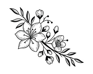 Elegant Black and White Floral Branch Illustration