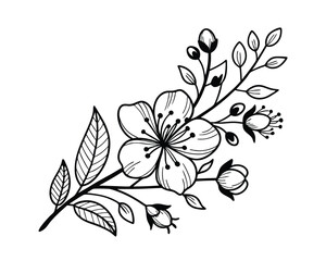 Elegant Black and White Floral Branch Illustration