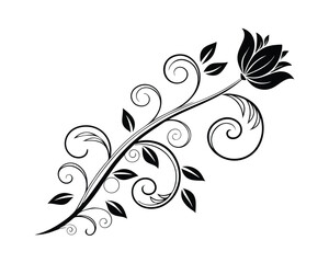 Elegant Black and White Floral Design Element