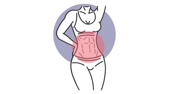 Vector illustration of woman with ripped abs and defined curves