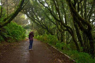 Obraz premium Woman photographing in Anaga forest