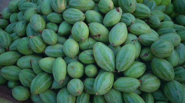 A pile of parval, or pointed gourd, is available for sale, with the camera panning from right to left to showcase its availability.