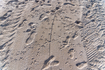 Pattern in the sand of a beach
