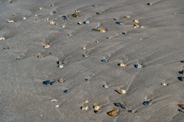 Small stones on the sand of a beach