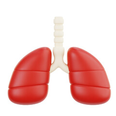 Lungs 