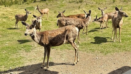 Yukon Territories, Canada