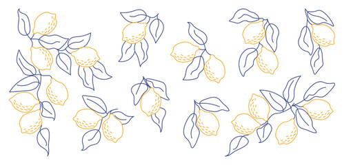 Set of hand-drawn lemon branches in minimal line art style. Perfect for modern aesthetics, botanical designs, kitchen decor, packaging, fabric patterns, summer-themed projects