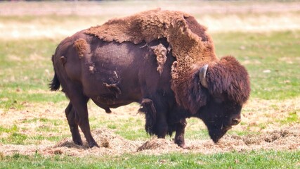 Yukon Territories, Canada
