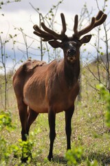 Yukon Territories, Canada