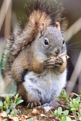 Yukon Territories, Canada