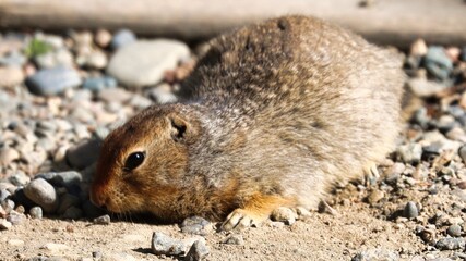 Yukon Territories, Canada