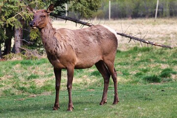 Yukon Territories, Canada