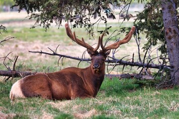 Yukon Territories, Canada