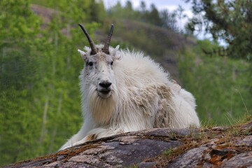 Yukon Territories, Canada