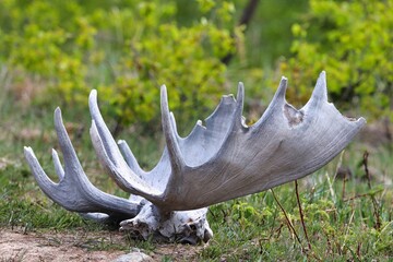 Yukon Territories, Canada