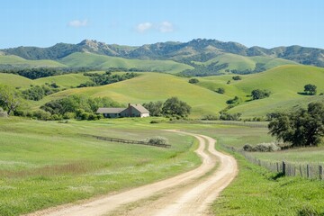 Fototapeta premium Rolling farmland with narrow road