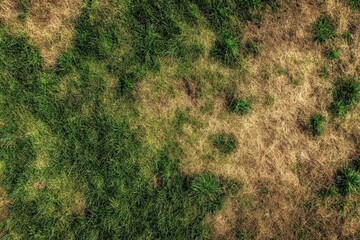 Aerial view of dead grass showcasing a damaged field with green and brown patches reflecting poor lawn care and pest issues
