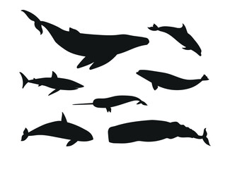 Vector set of flat hand drawn whales silhouette isolated on white background