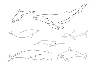 Vector set of flat hand drawn outline whales isolated on white background