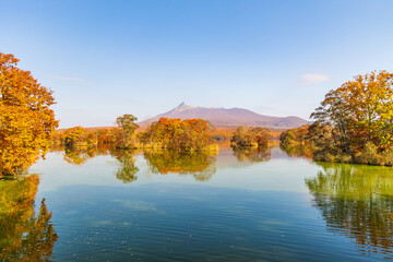 日本の風景・秋　北海道　紅葉の大沼公園