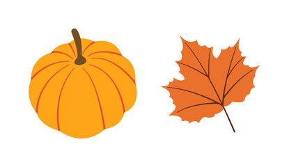 Autumn harvest flat vector elements: pumpkins, leaf for fall designs. Hand drawn set for banners, cards, social media