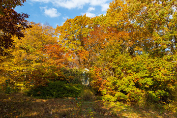 日本の風景・秋　北海道　紅葉の大沼公園