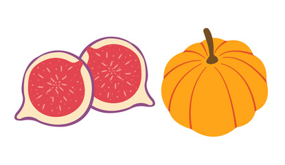 Fall elements vector set: pumpkins, sliced figs in flat design style. Hand drawn autumn set for banners, cards, social media