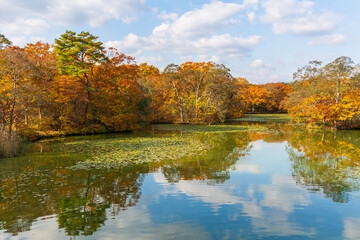 日本の風景・秋　北海道　紅葉の大沼公園