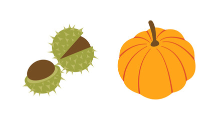 Autumn collection of flat vector elements: pumpkin, chestnuts. Hand drawn set for banners, cards, social media