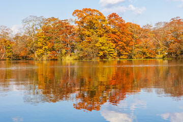 日本の風景・秋　北海道　紅葉の大沼公園
