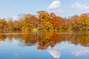 日本の風景・秋　北海道　紅葉の大沼公園
