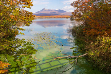 日本の風景・秋　北海道　紅葉の大沼公園