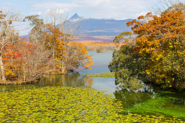 日本の風景・秋　北海道　紅葉の大沼公園