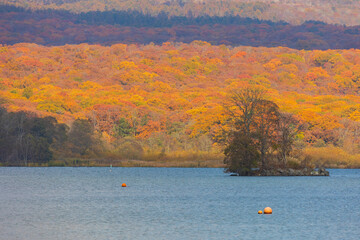 日本の風景・秋　北海道　紅葉の大沼公園