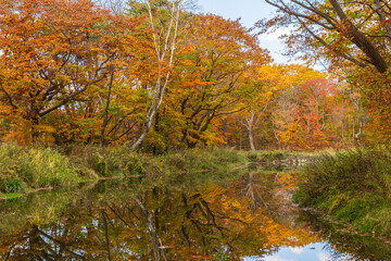 日本の風景・秋　北海道　紅葉の大沼公園