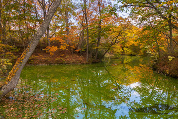 日本の風景・秋　北海道　紅葉の大沼公園