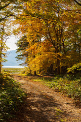 日本の風景・秋　北海道　紅葉の大沼公園