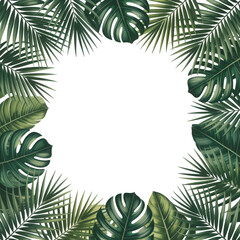 A square border of lush green tropical palm fronds forming a natural frame with clean white center, isolated transparent background
