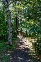 A tranquil path through the lush woodlands around Solitaire Lake, offering a serene escape in Huntsville, Ontario.