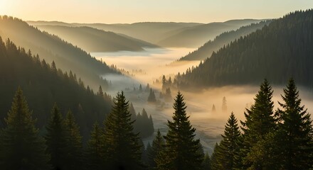 Obraz premium Sunrise over a majestic mountain landscape with a serene sky, mist, and pine trees