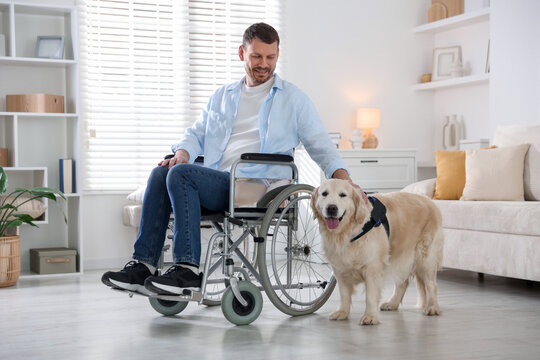 Man in wheelchair with his service dog at home - Powered by Adobe