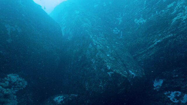 海底遺跡　与那国島　沖縄