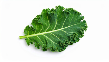 Solitary emerald kale leaf with crisp, vibrant edges stands out against pure white background, showcasing its fresh and healthy appearance