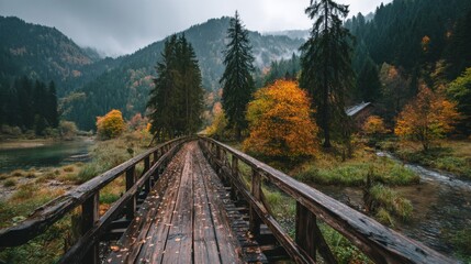 Fototapeta premium Wooden Bridge in Autumn Forest Landscape