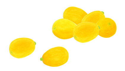 水彩で描いたびわのイラスト