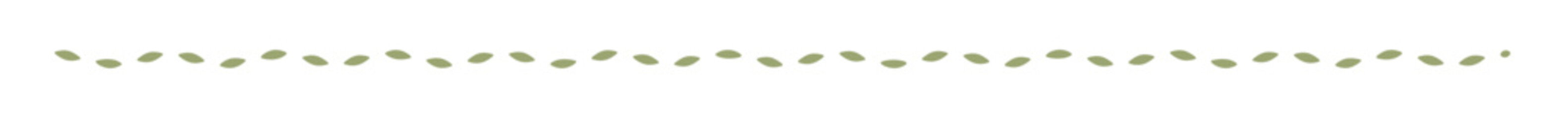 Subtle Olive Green Horizontal Line Border Design for Elegant and Minimalist Presentations