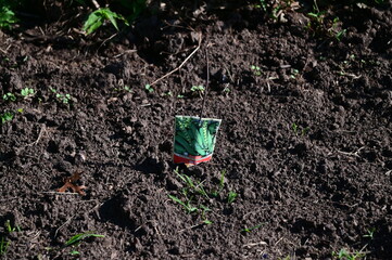 Garden Soil