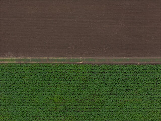 Aerial top view of a different agriculture fields in countryside on a spring day. Drone shot Top...
