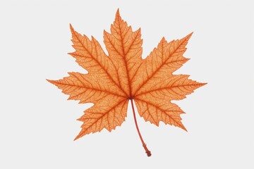 Red-Orange Dew Leaf